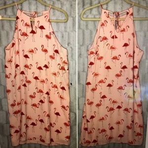 Finn & Grace Flamingo Print Pink Mini Shift Dress